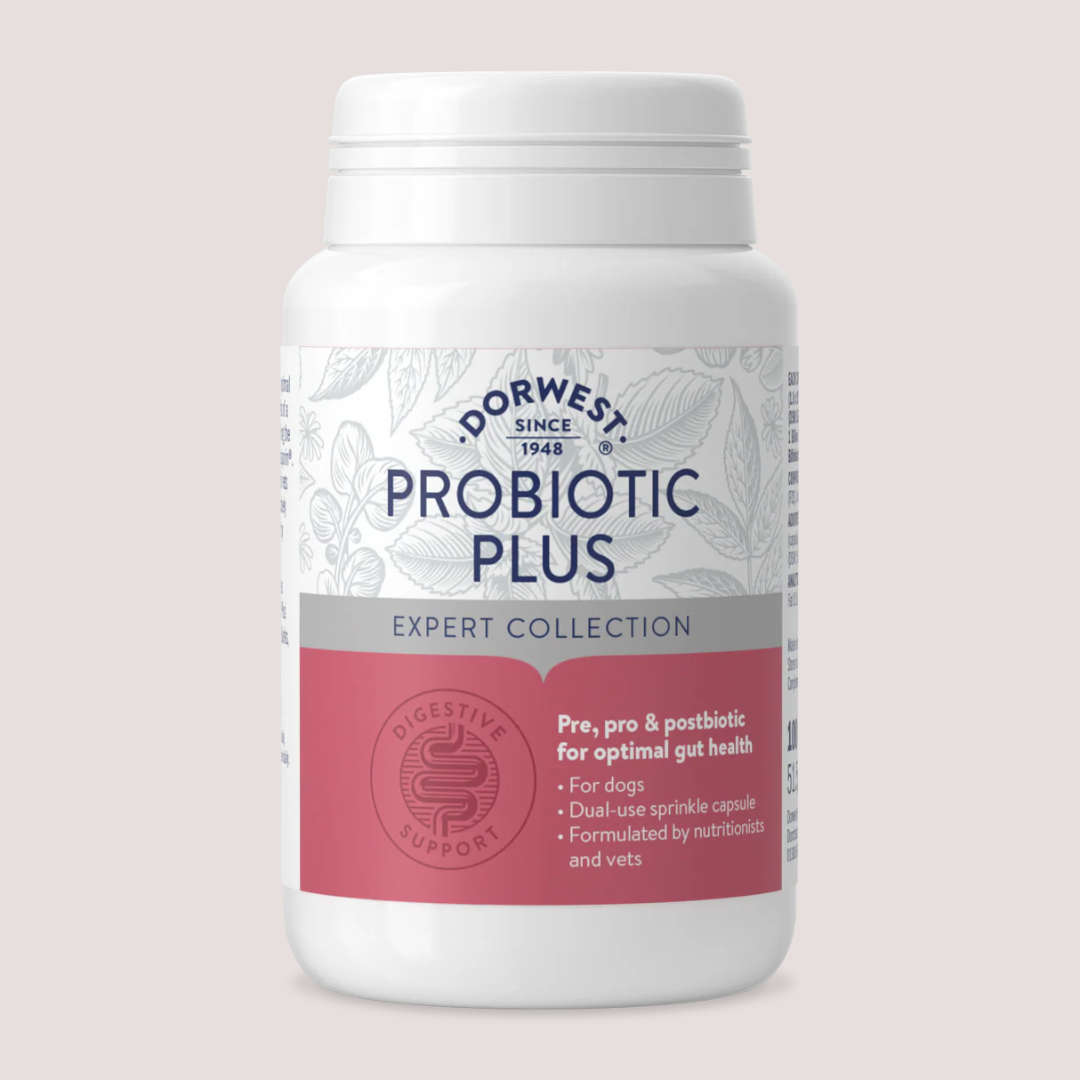 Dorwest Probiotic Plus For Dogs 100 Tablets