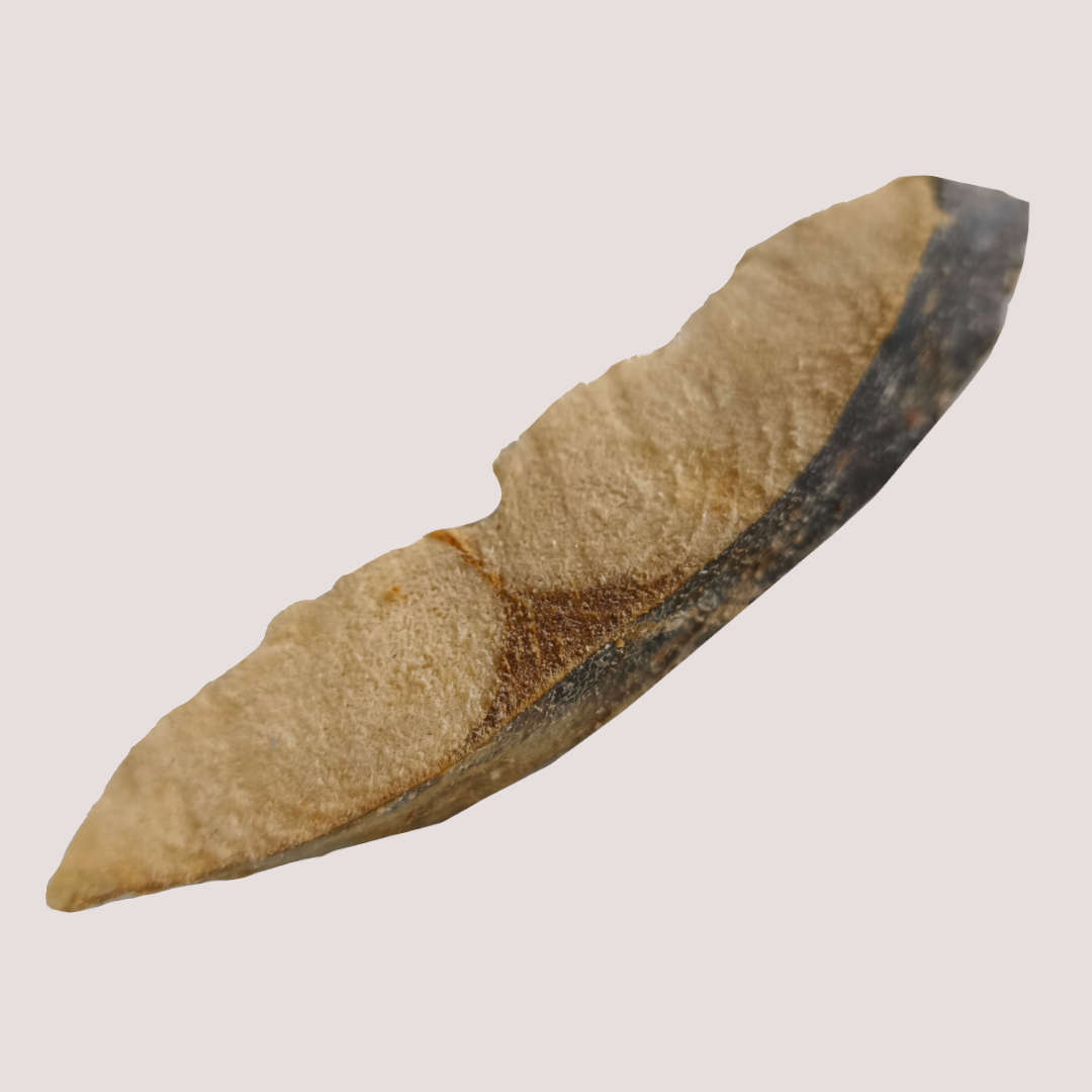 Freeze Dried Mackerel Fillet 50g