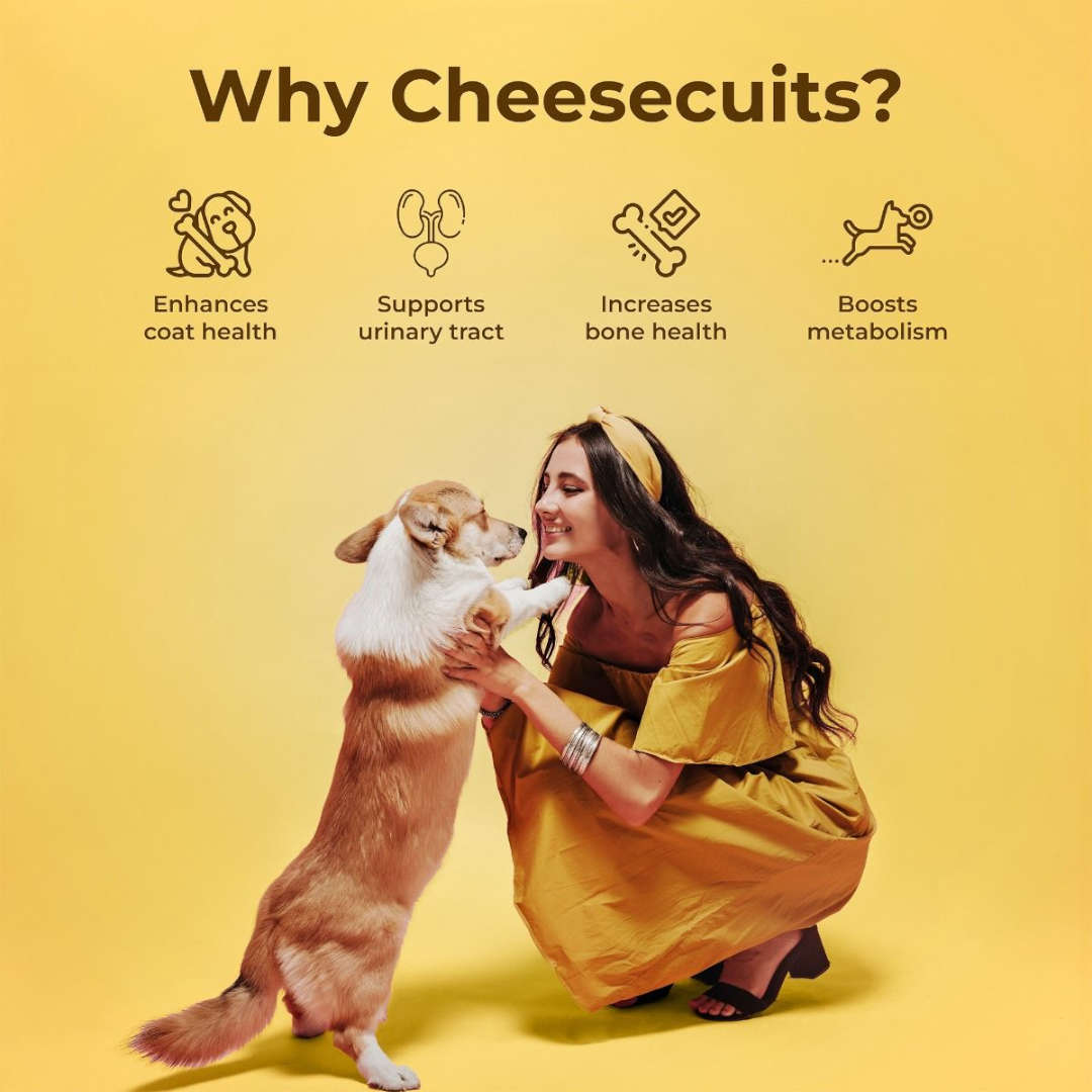 Pawfect Cheesecuits Cheese Dog Biscuits With Pineapple & Coconut 100g