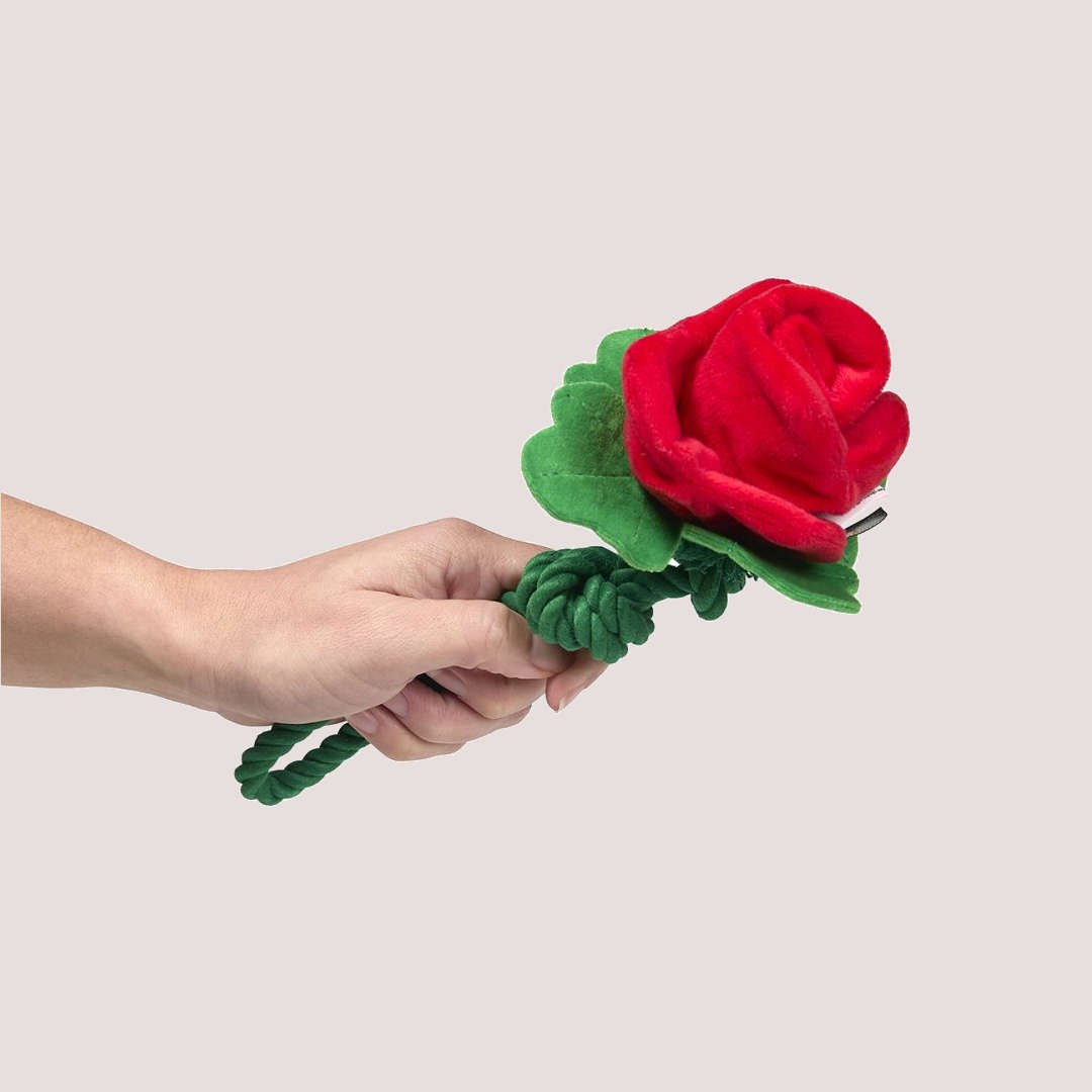 PetFace Scarlet Rose