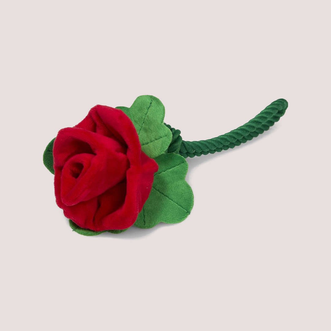 PetFace Scarlet Rose