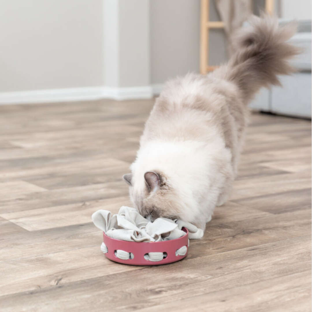 Trixie Hide-N-Sniff Bowl Pink