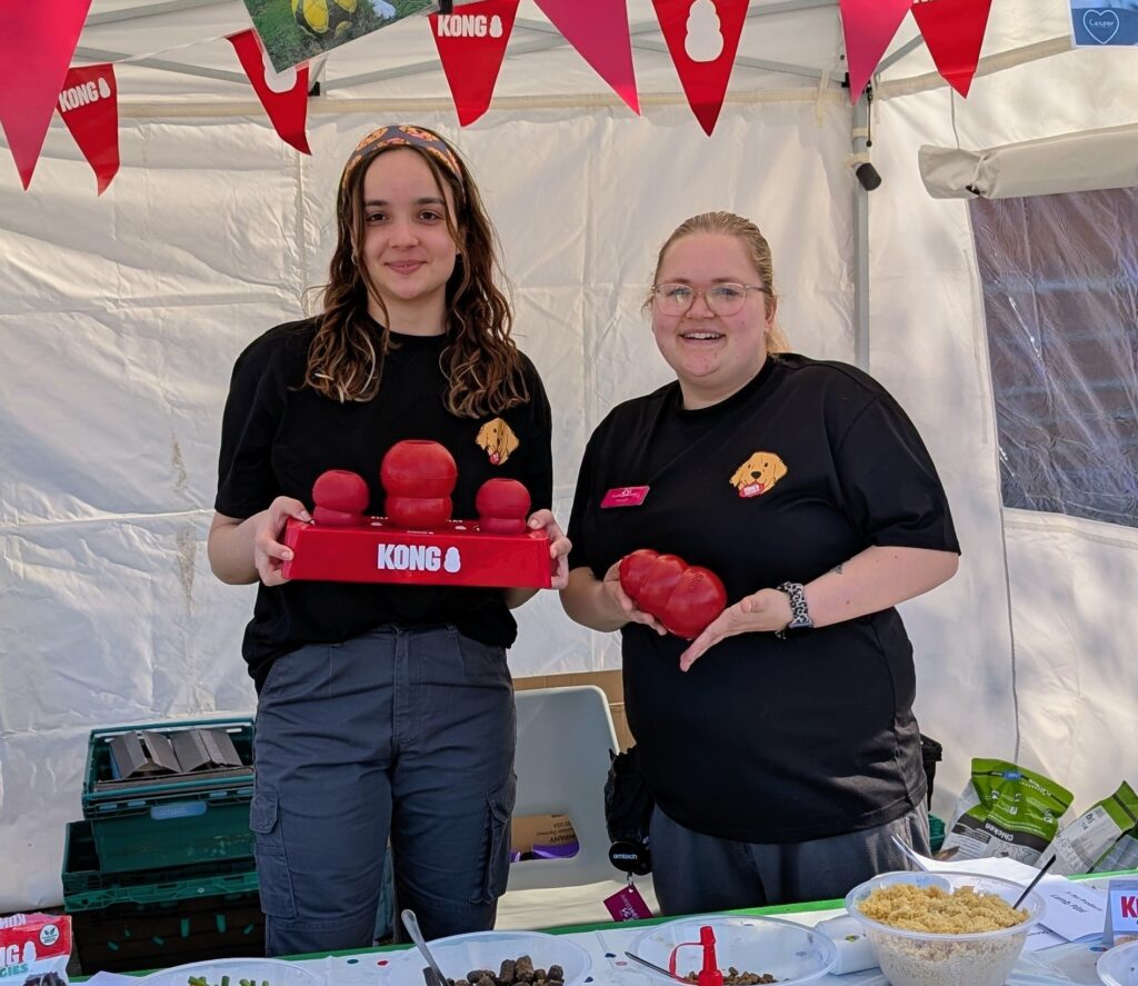 Stuff-a-thon! - 3rd Edition