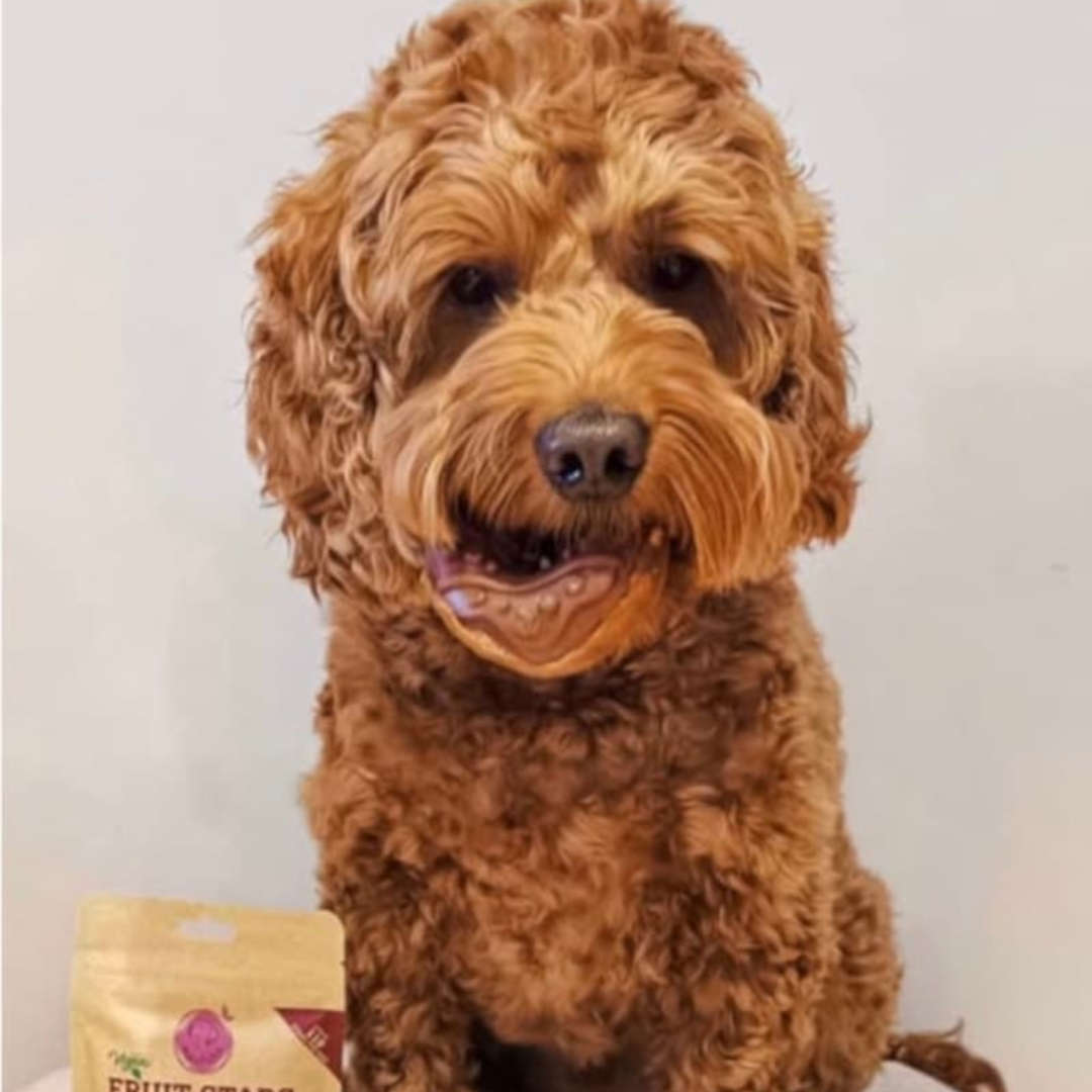 Miro & Makauri Doggy Donut