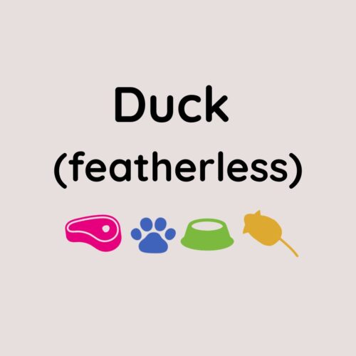 Whole Duck Featherless 1.2kg