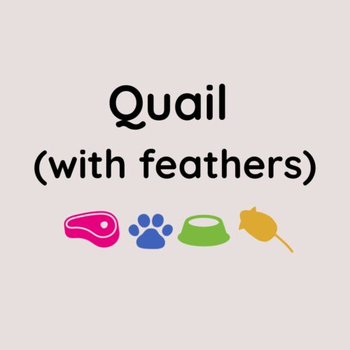 Whole Feathered Quail x1