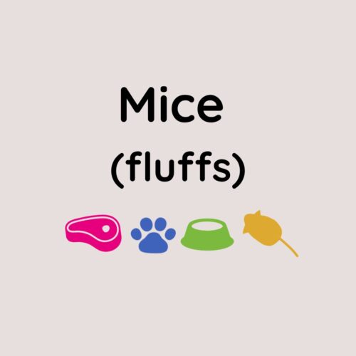 Kiezebrink Mouse Fluff x 25