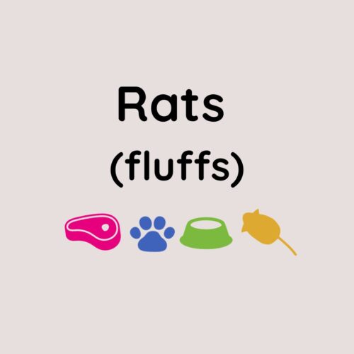 Kiezebrink Fluffs Rats x25