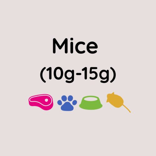 Kiezebrink Small Mice 10-15g x10