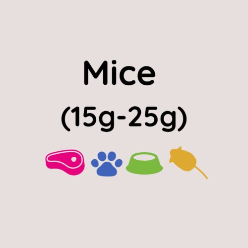 Kiezebrink Mice 15-25g x25