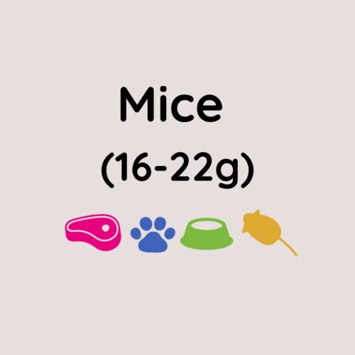 Kiezebrink Regular Mouse X10 (16-22g)