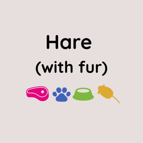 Whole Wild Hare With Fur