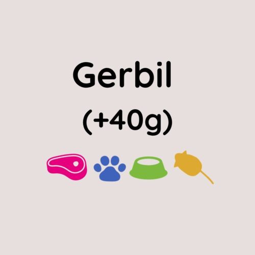 Kiezebrink Large Gerbil x10 (+40g)