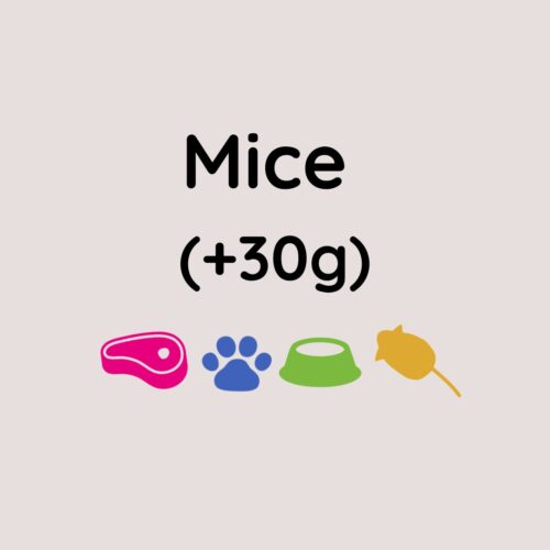 Kiezebrink Jumbo Mouse x10 (+30g)