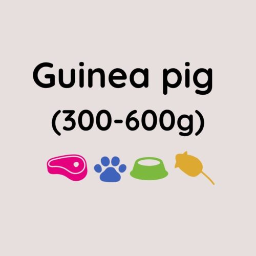 Kiezebrink Guinea Pig Reg x1 (300-600g)