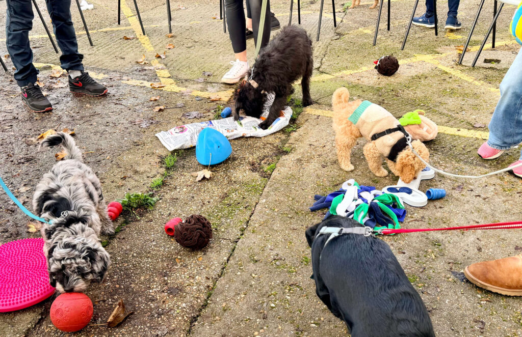 Puppy natter