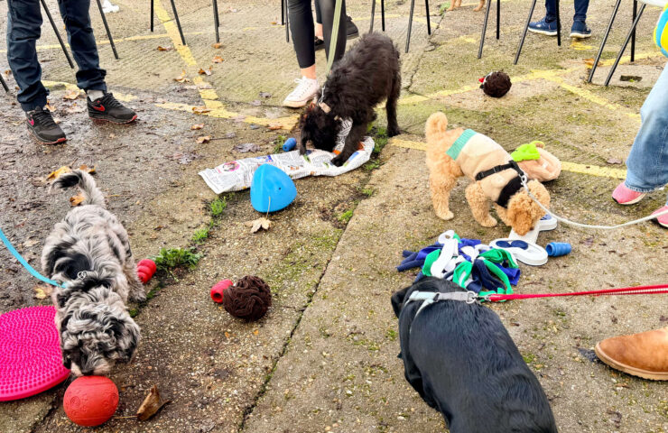 Puppy natter