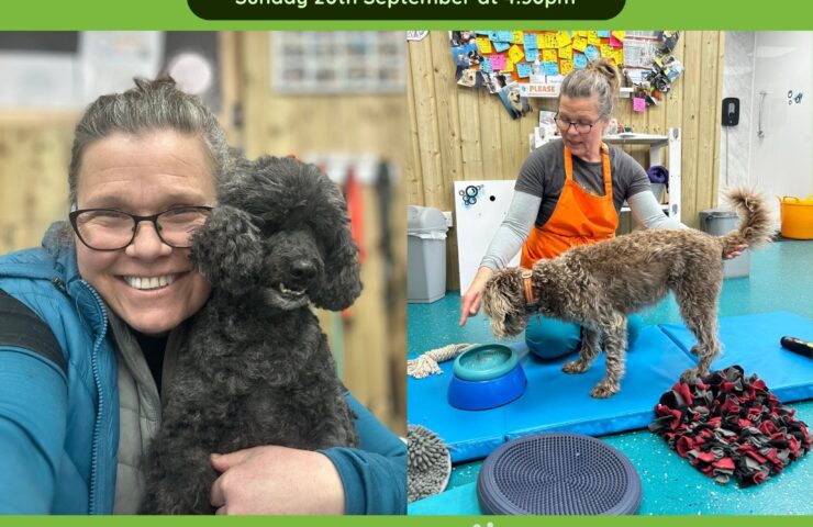 Happy Handling - Holistic Grooming Workshop