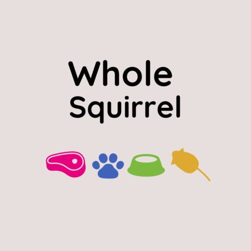 Whole Squirrel