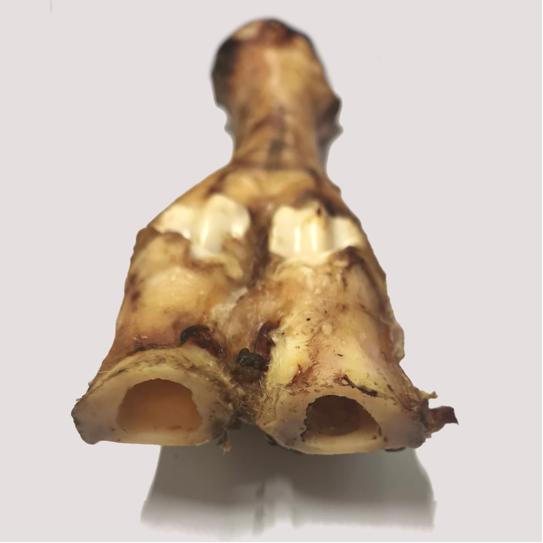 Jumbo Dried Beef Shank