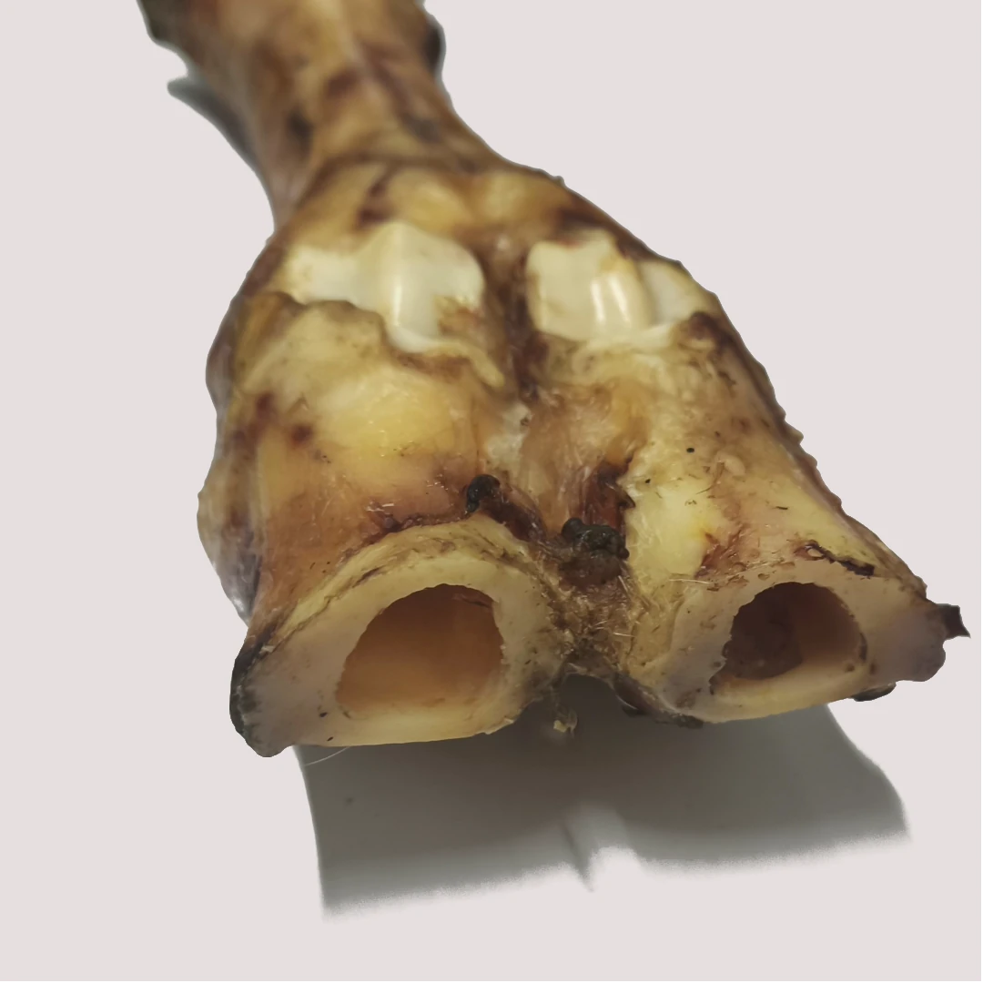 Jumbo Dried Beef Shank