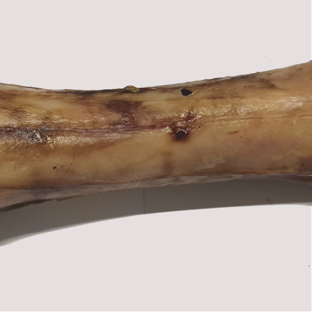 Jumbo Dried Beef Shank