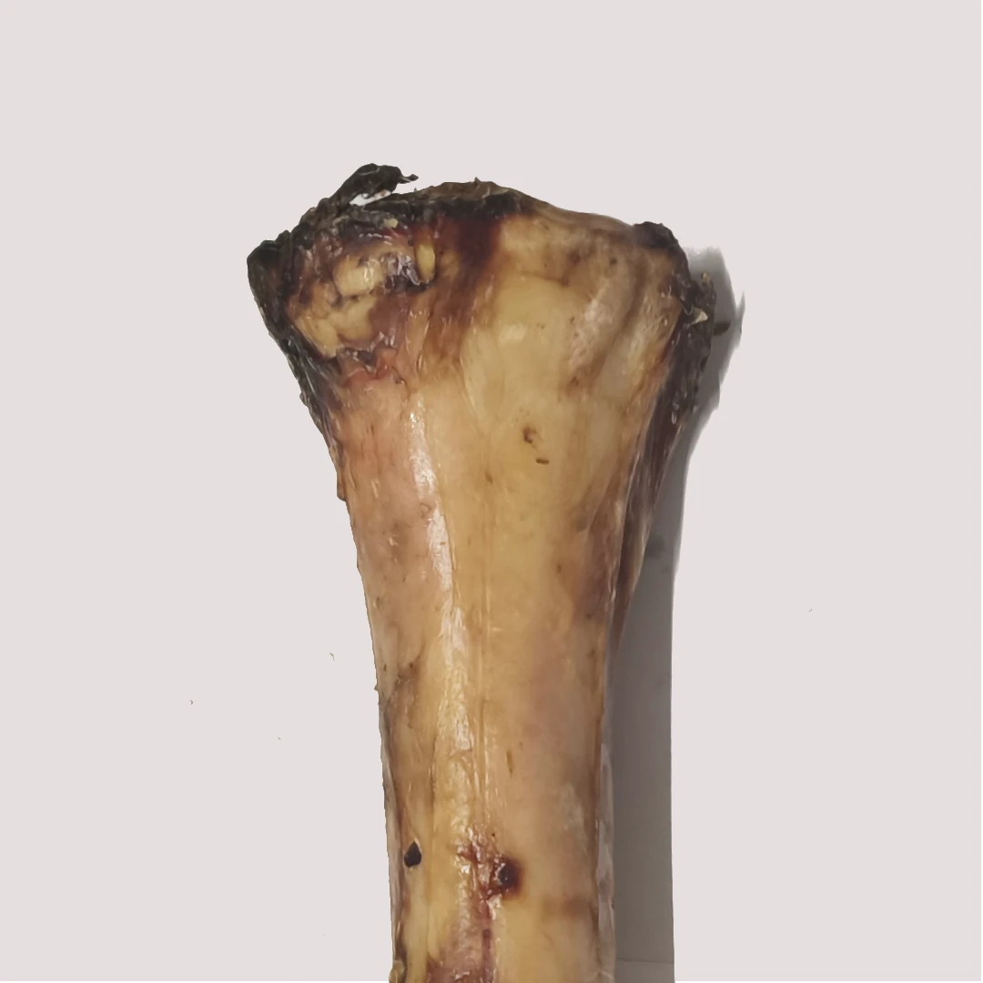 Jumbo Dried Beef Shank