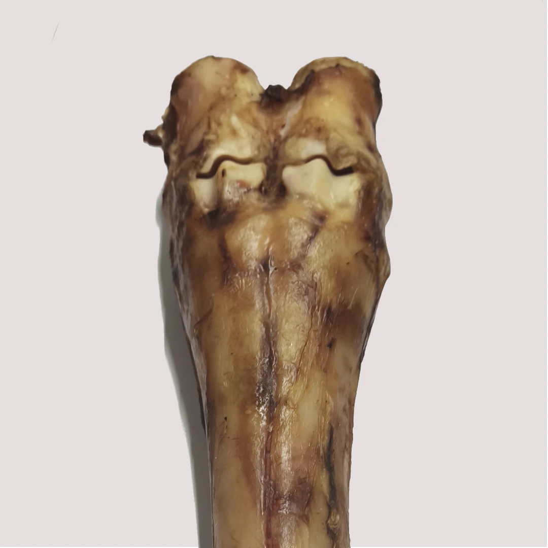 Jumbo Dried Beef Shank