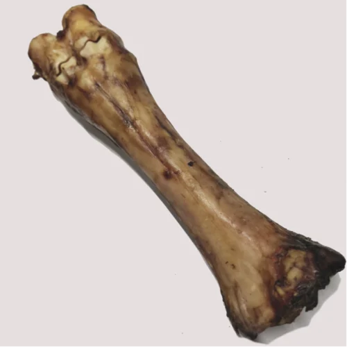 Jumbo Dried Beef Shank
