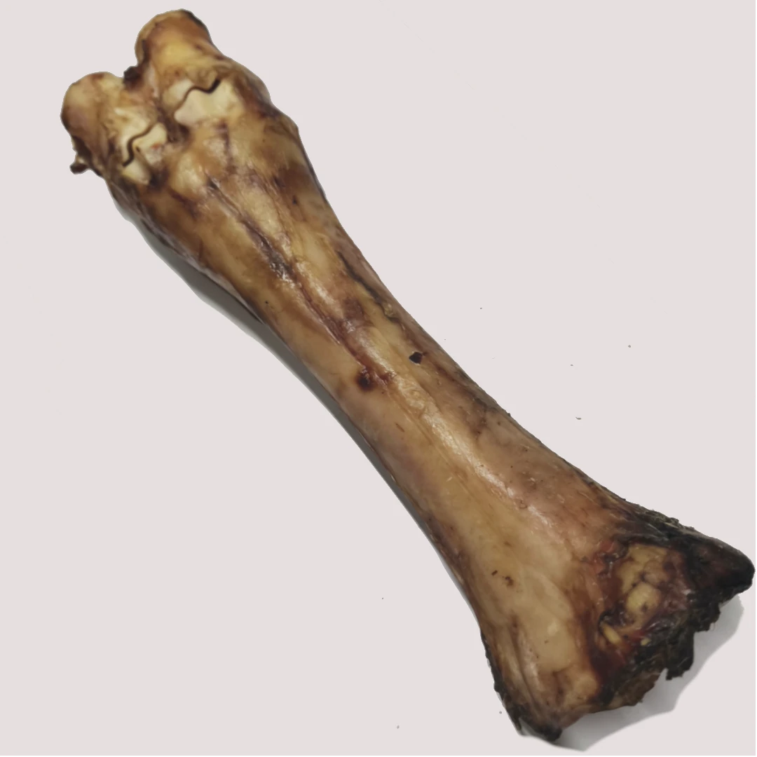 Jumbo Dried Beef Shank