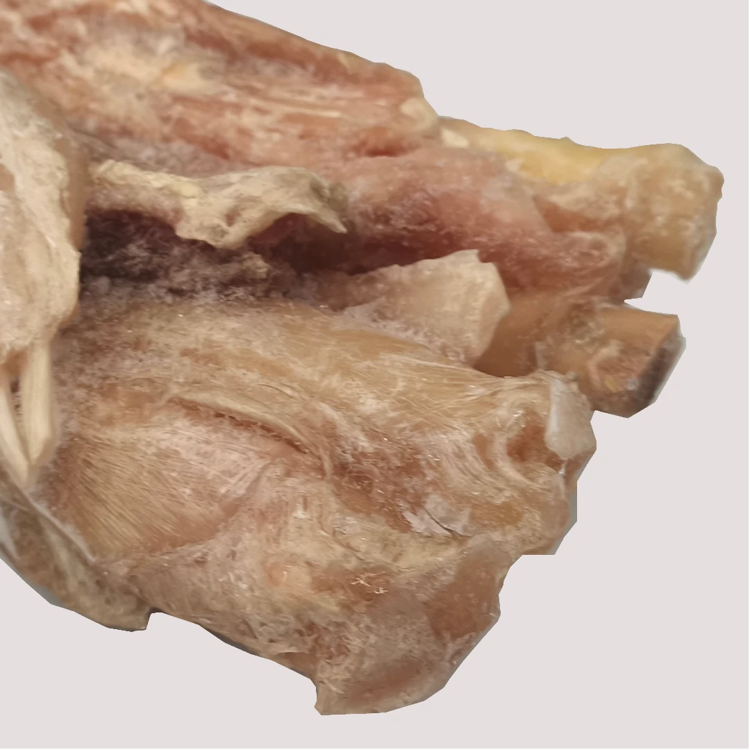 Raw Beef Tendons x4