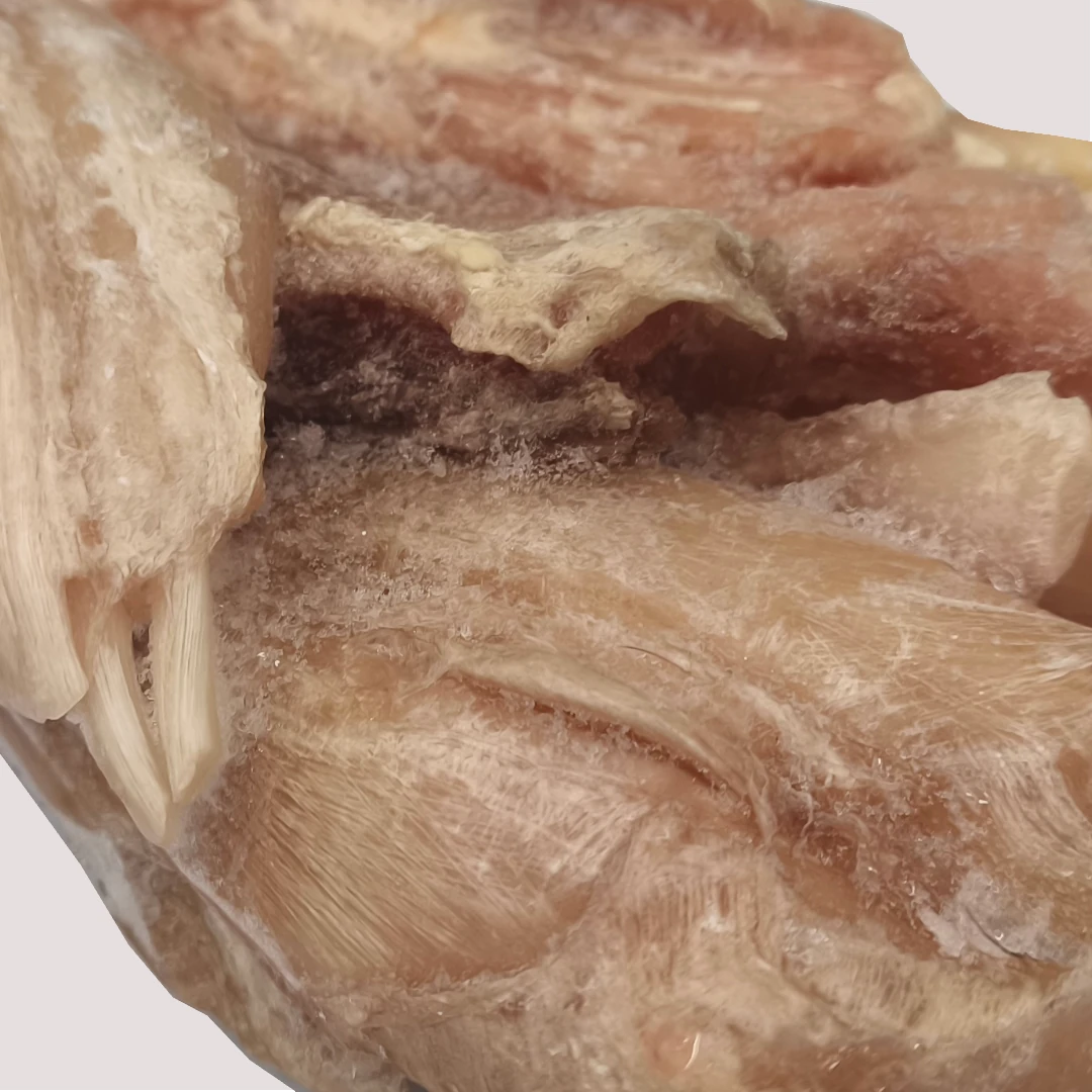 Raw Beef Tendons x4