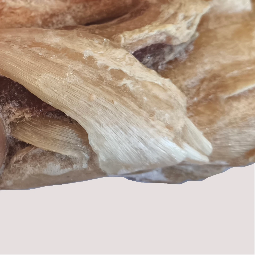 Raw Beef Tendons x4