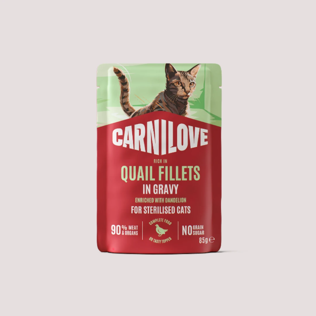 Carnilove Quail & Dandelion Wet Cat Food 85g