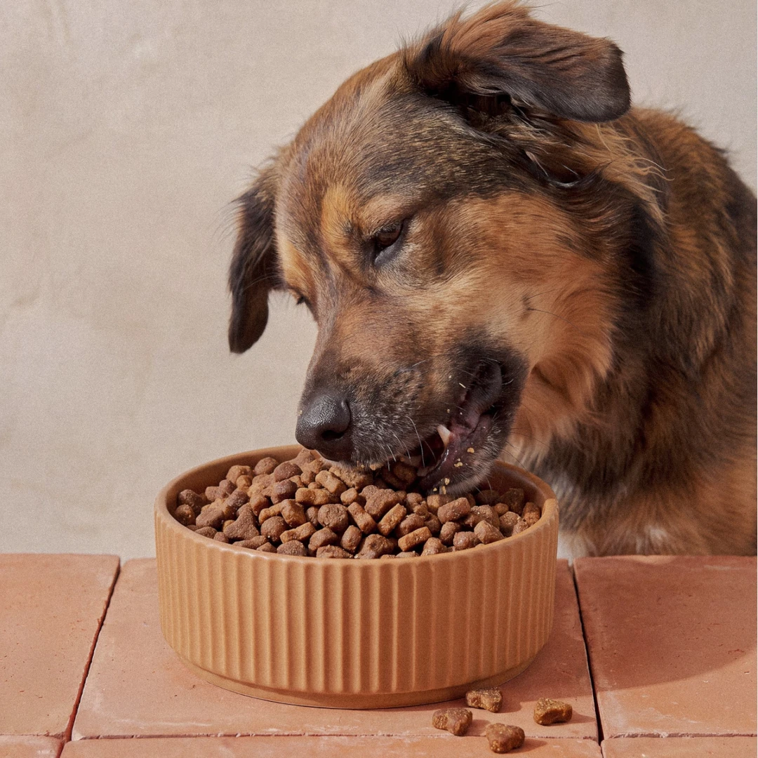 Yumwoof Ancestral Land & Sea Dry Dog Food