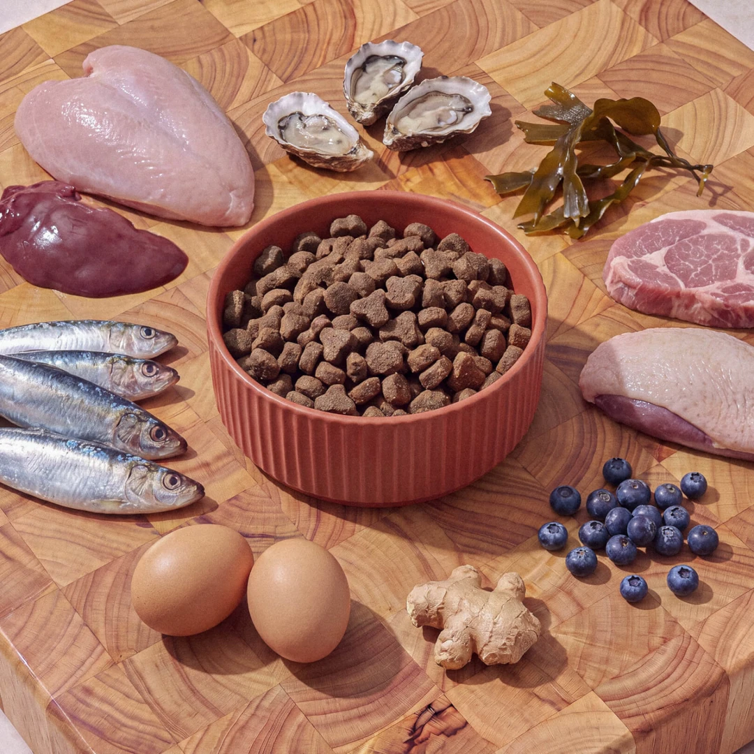 Yumwoof Ancestral Land & Sea Dry Dog Food