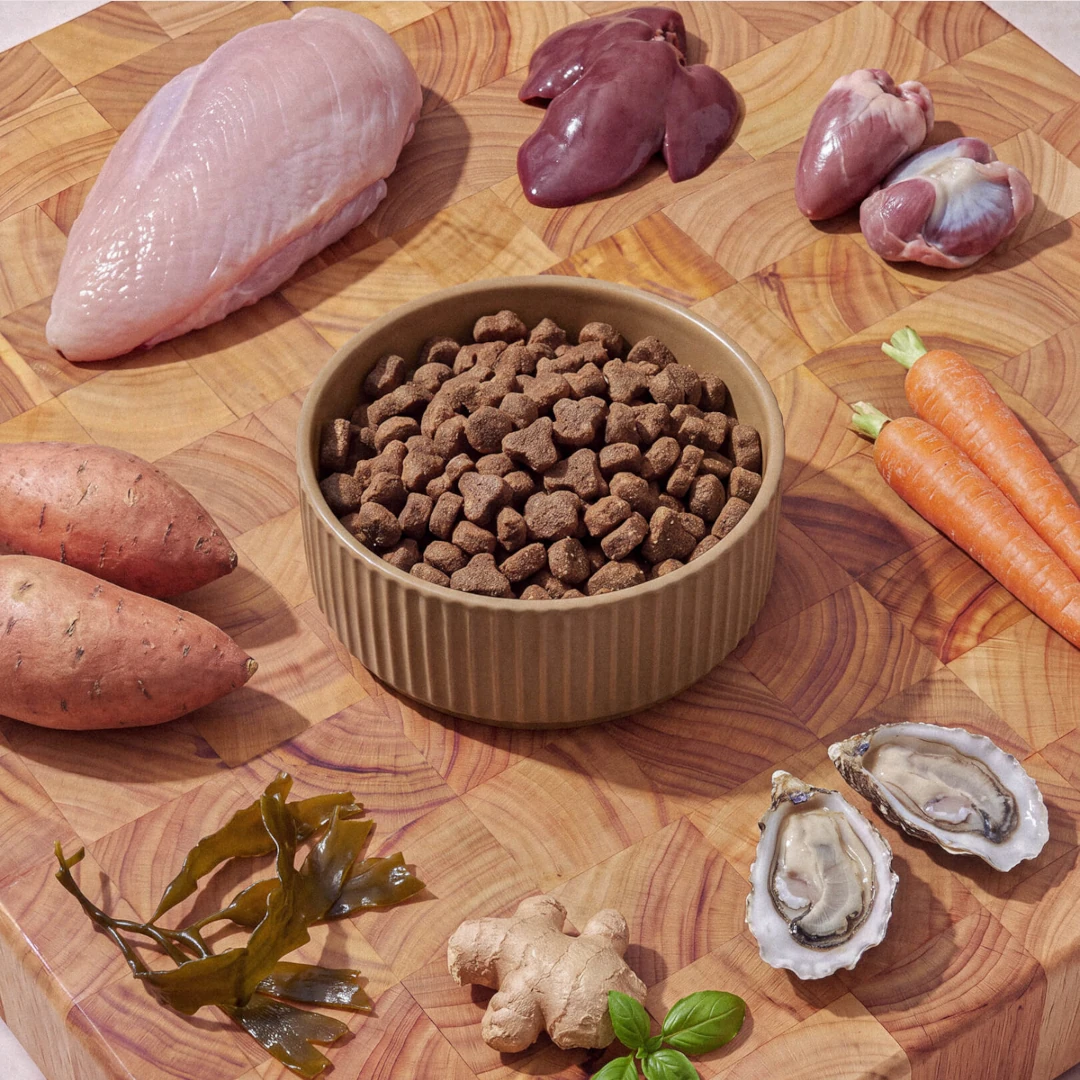 Yumwoof Ancestral Turkey Dry Dog Food
