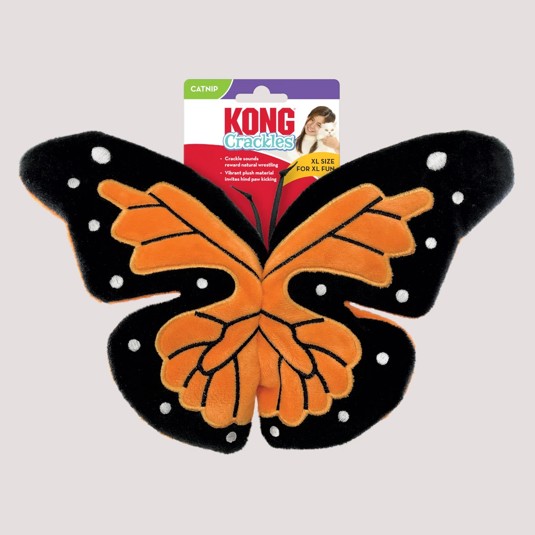 KONG Cracles Flutter Cat Toy