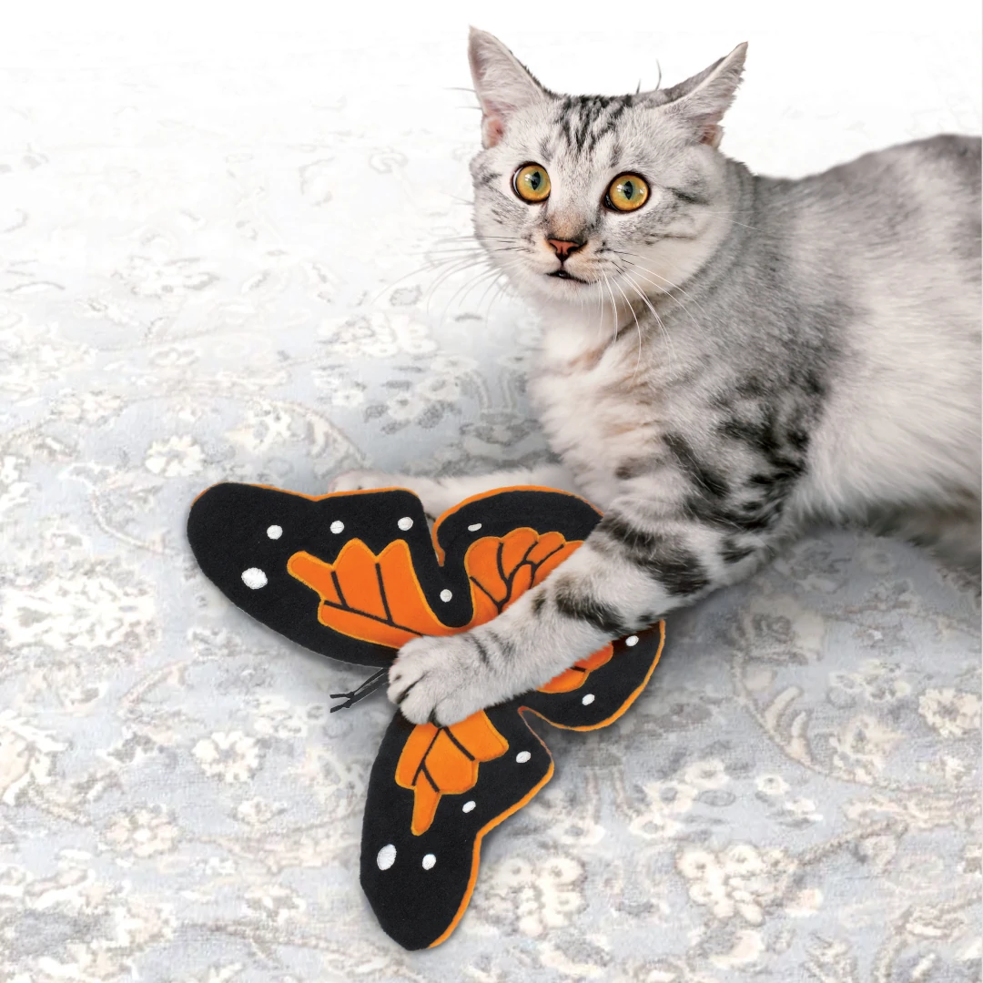 KONG Cracles Flutter Cat Toy