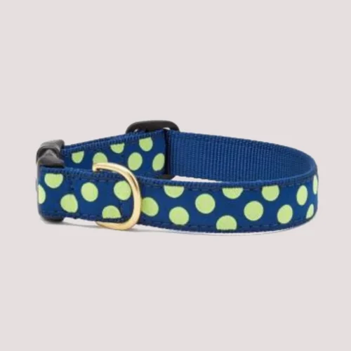 Up Country Navy & Lime Polka Dot Dog Collar
